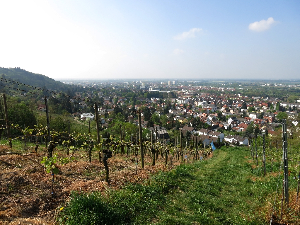 Blick auf Bensheim